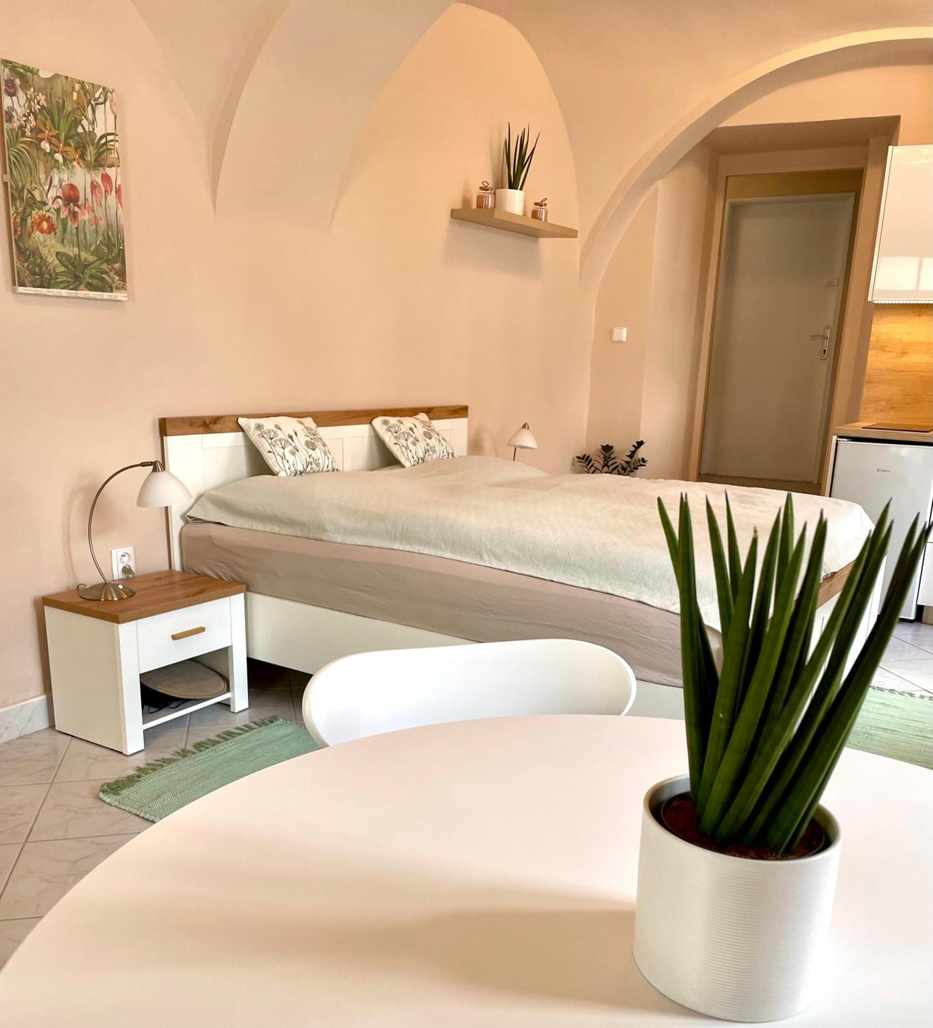 Apartman Dominikanska Litoměřice Buitenkant foto